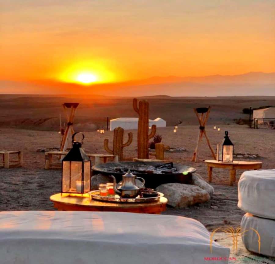 From Marrakesh Agafay Desert Dinner & Sunset, and Camel Ride - Group size, languages, and comfort