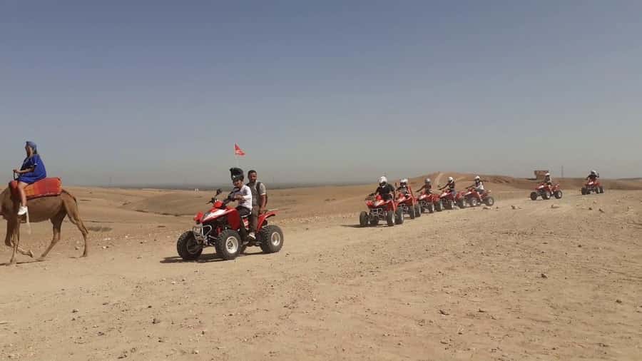 From Marrakesh: Agafay Desert Quad Biking, Camels & Dinner - Key points at a glance