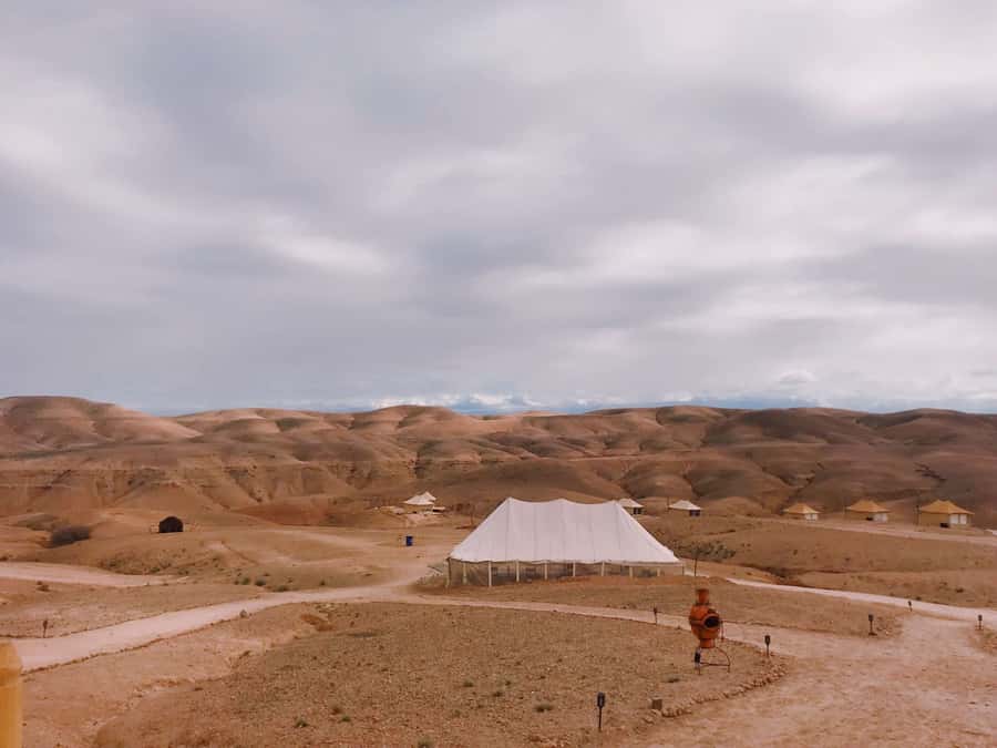 From Marrakesh: Agafay Desert Quad Biking, Camels & Dinner - Should you book the Agafay Desert package?