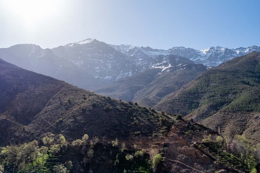 From Marrakesh: Atlas Mountains Talamrout Summit Day Hike - Imlil, Ait Souka, and Tamatert set the pace