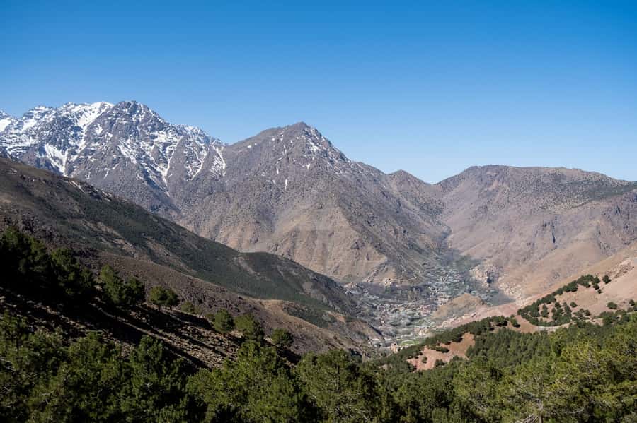 From Marrakesh: Atlas Mountains Talamrout Summit Day Hike - Pine forest and the climb to 2,600 meters