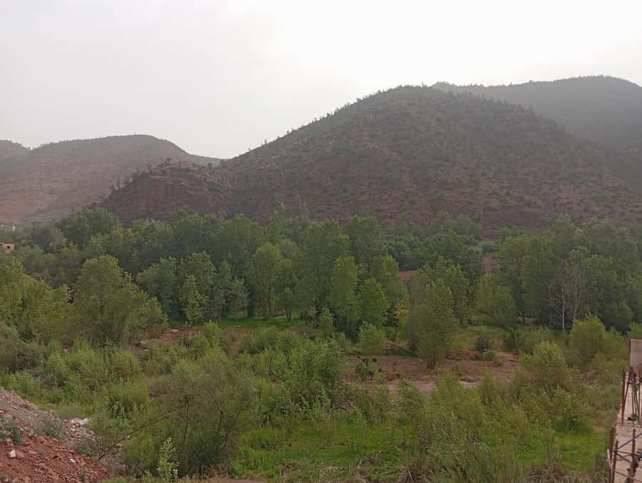 From Marrakesh: Day Tour to Ourika Valley & Atlas Mountains - The 15-minute argan oil co-operative stop