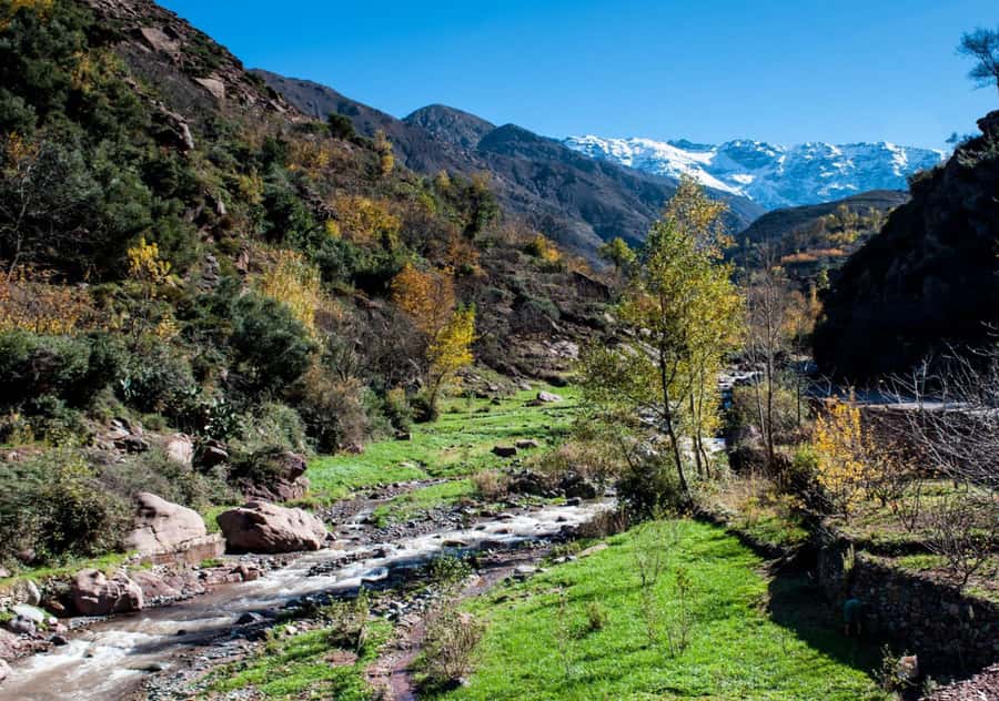 From Marrakesh: Day Trip to Atlas Mountains & Optional Lunch - Leaving Marrakesh for the High Atlas