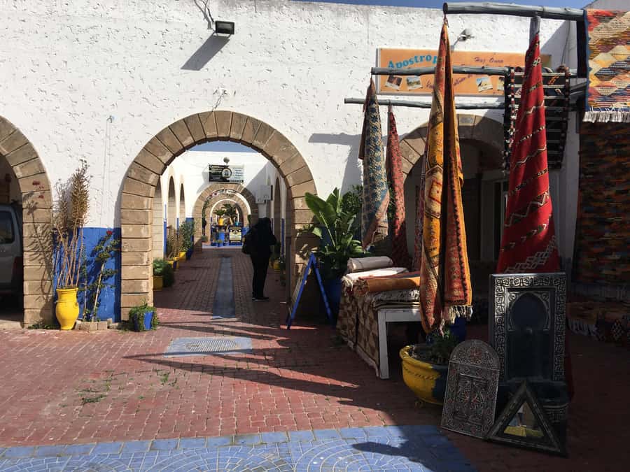 From Marrakesh: Essaouira Day Trip - The argan oil cooperative and the goat photo stop
