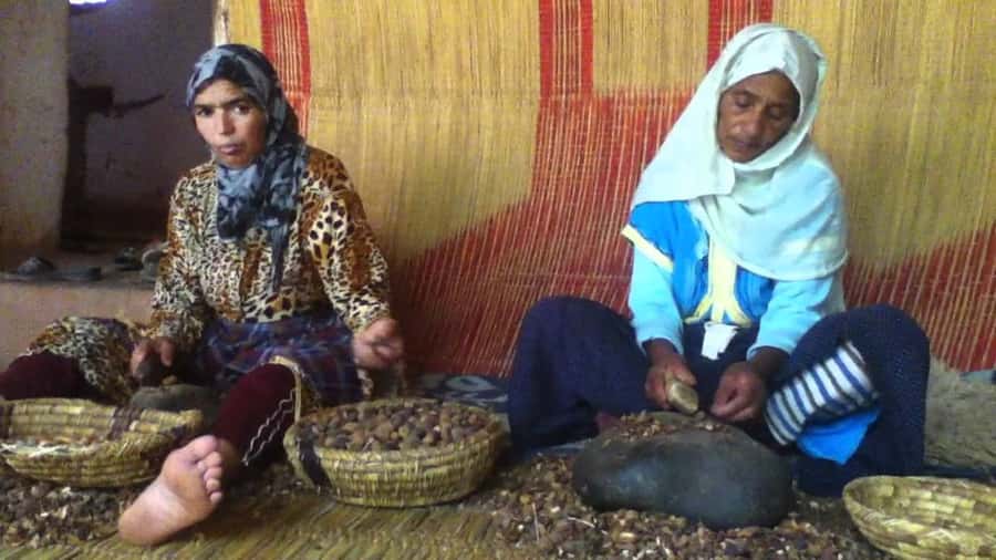 From Marrakesh: Essaouira Day Trip - Moulay Hassan Square and a seafood lunch
