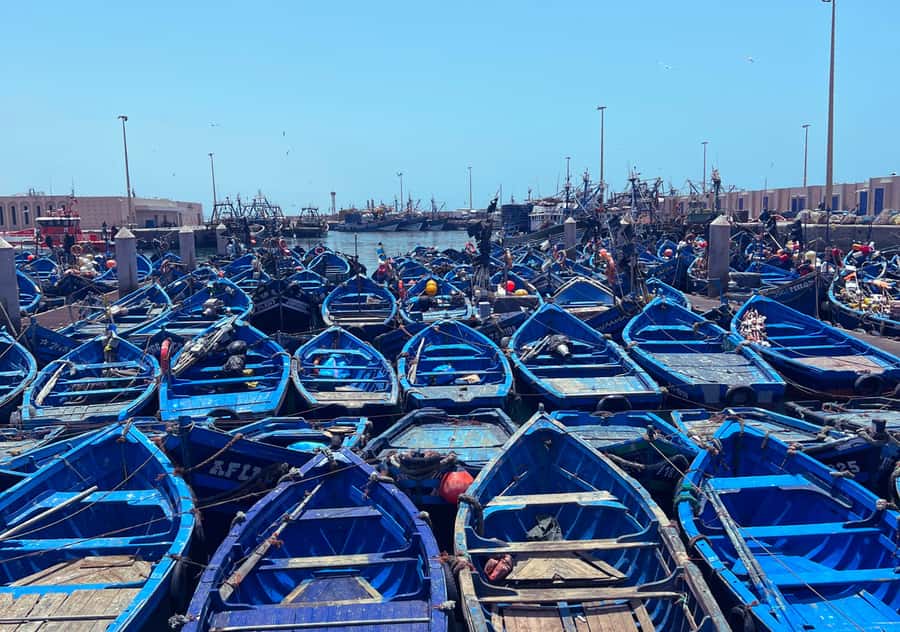 From Marrakesh: Essaouira Full-Day Trip - Who should book this day trip