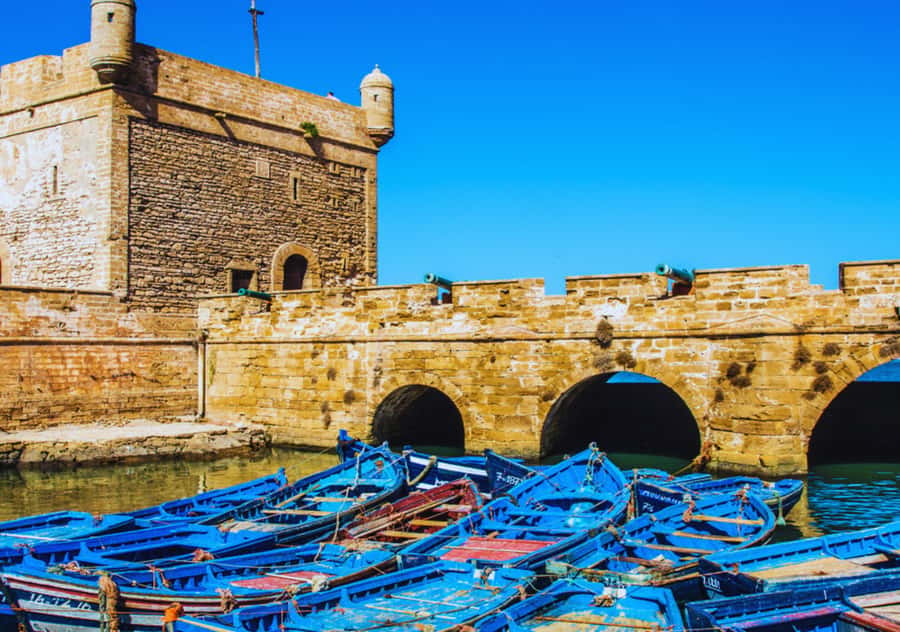 From Marrakesh: Essaouira Full-Day Trip - Why Essaouira makes a smart escape from Marrakesh