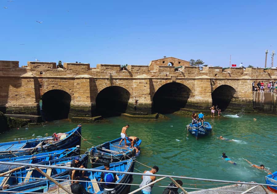 From Marrakesh: Essaouira Full-Day Trip - Entering the port with blue fishing boats
