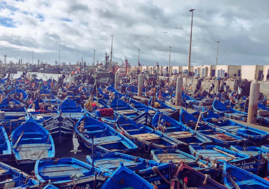 From Marrakesh: Essaouira Full-Day Trip - The road from Marrakesh to the Atlantic