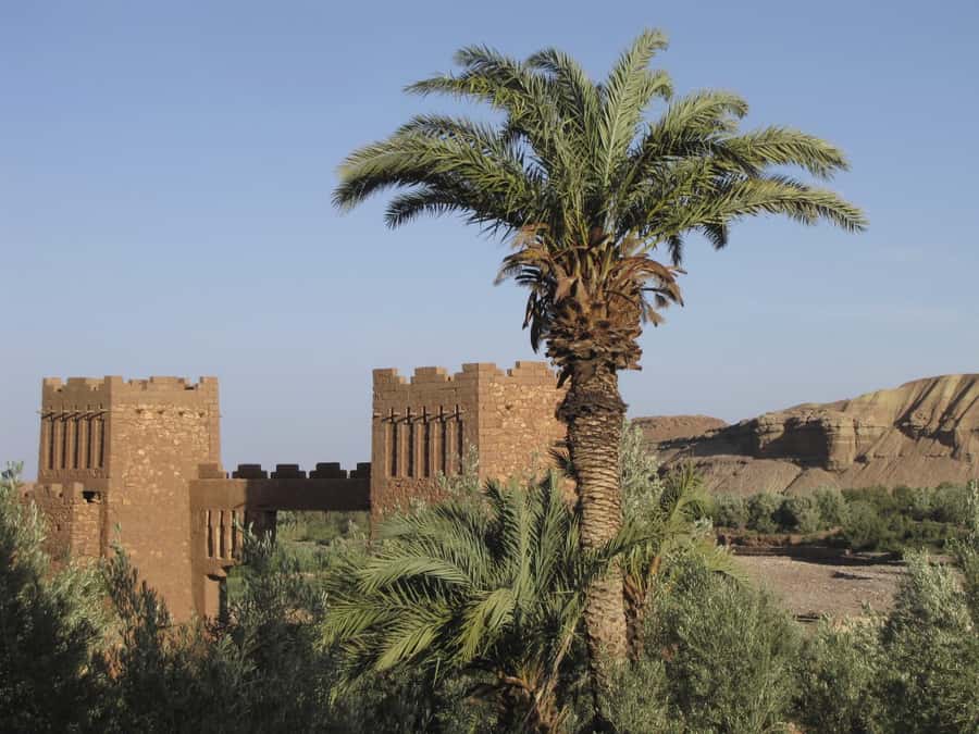 From Marrakesh: Ouarzazate & Ait Ben Haddou Day Tour - Crossing the Tizi N’Tichka pass