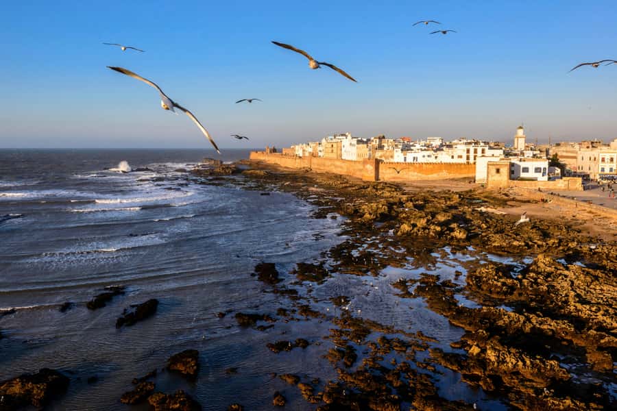 From Marrakesh: Small Group To Essaouira With Opt Activities - Why Essaouira works as a Marrakech escape