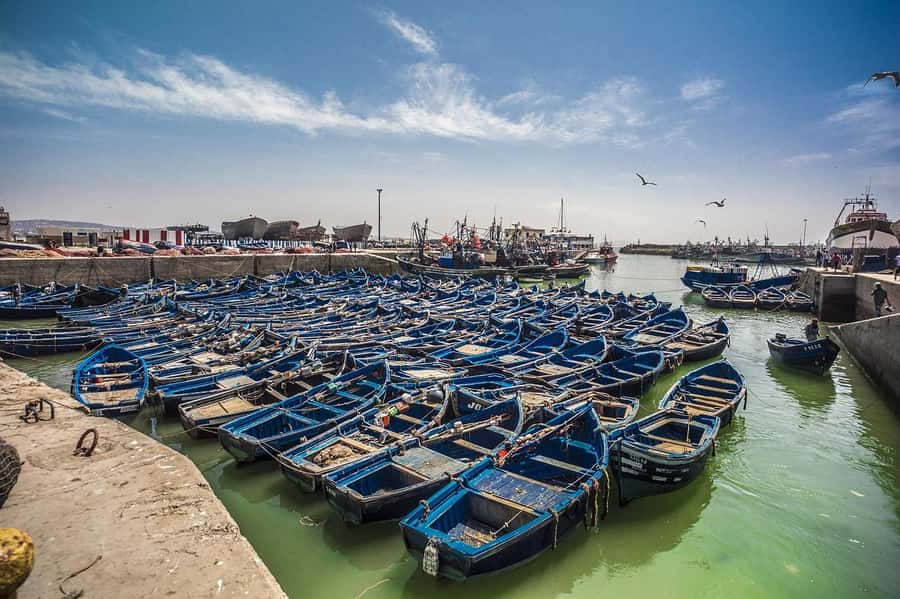From Marrakesh: Small Group To Essaouira With Opt Activities - The three-hour road from Marrakech