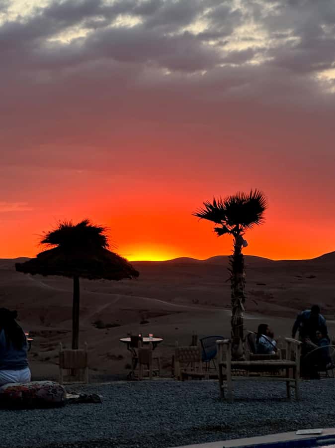 From Marrakesh: Sunset Dinner in Agafay at Berber Camp - The argan oil cooperative is a cultural stop