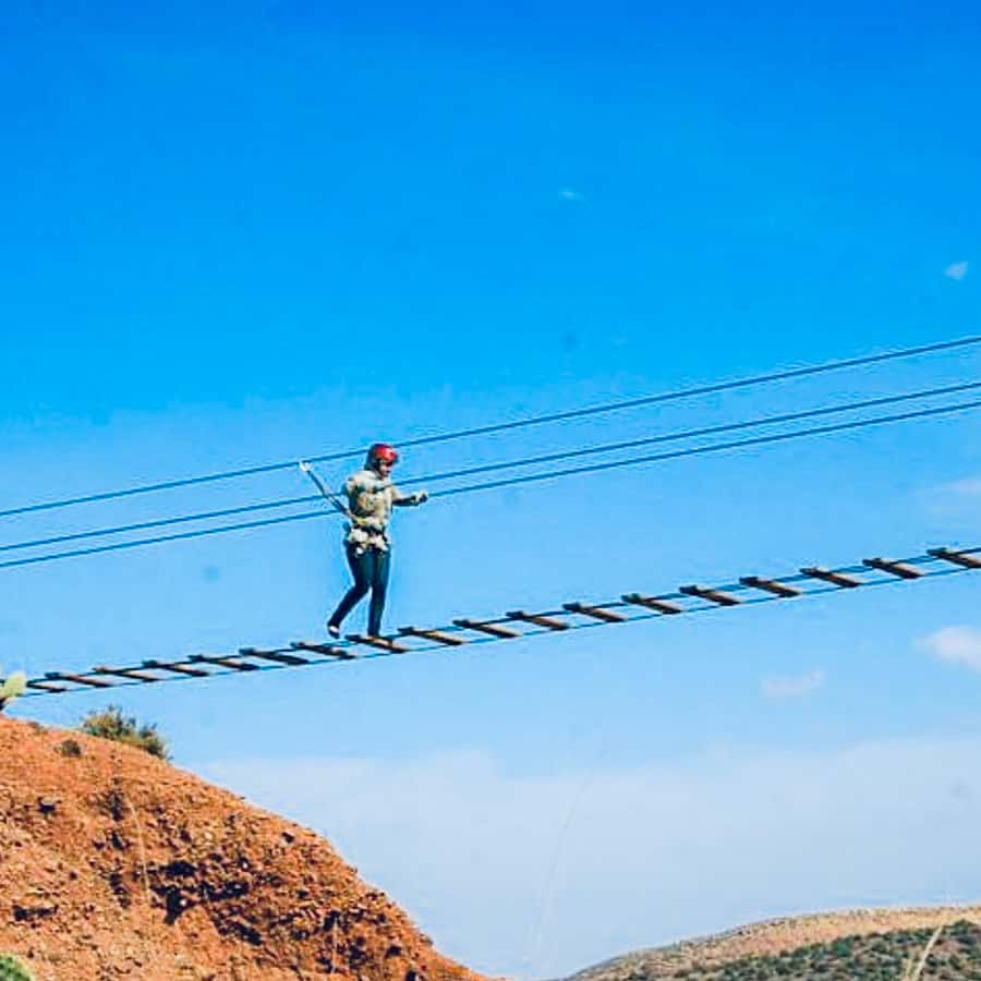 From Marrakesh: Zip-Line & Hike in the Atlas Mountains - Four zip-lines above the pine forest
