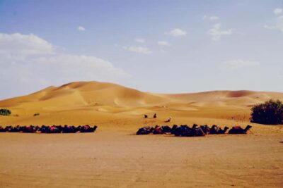 Desert Overnight in Heated Tent & Camel Ride
