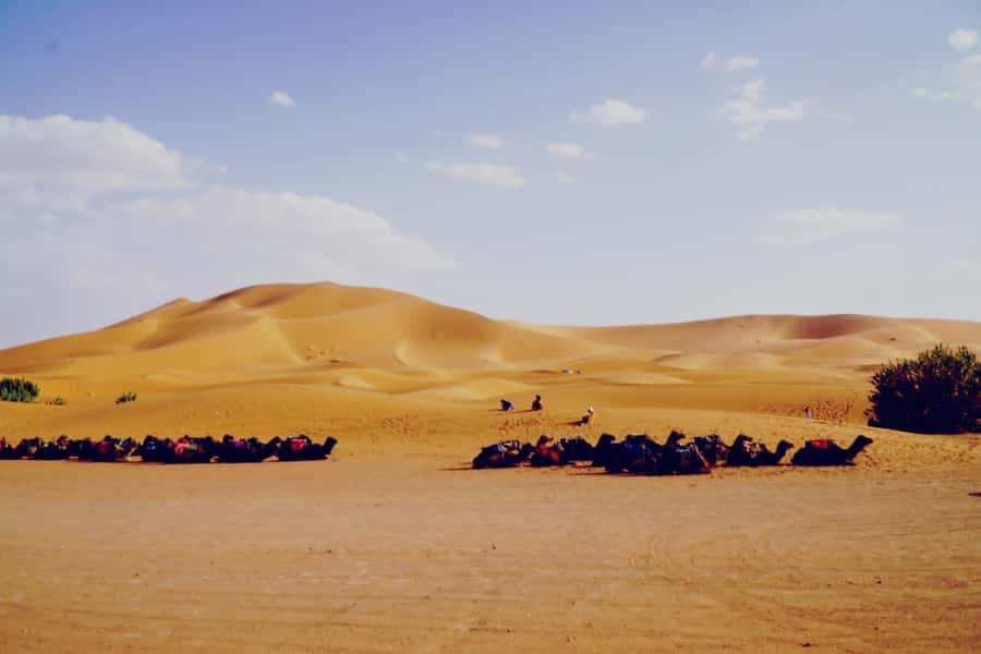 From Merzouga: Desert Overnight in Heated Tent & Camel Ride - Sandboarding on Erg Chebbi