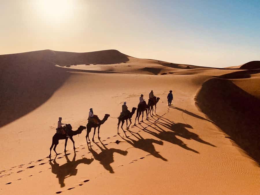 From Merzouga: Overnight Camel Trek over Erg Chebbi Dunes - Dinner, mint tea, and a Berber-style camp evening