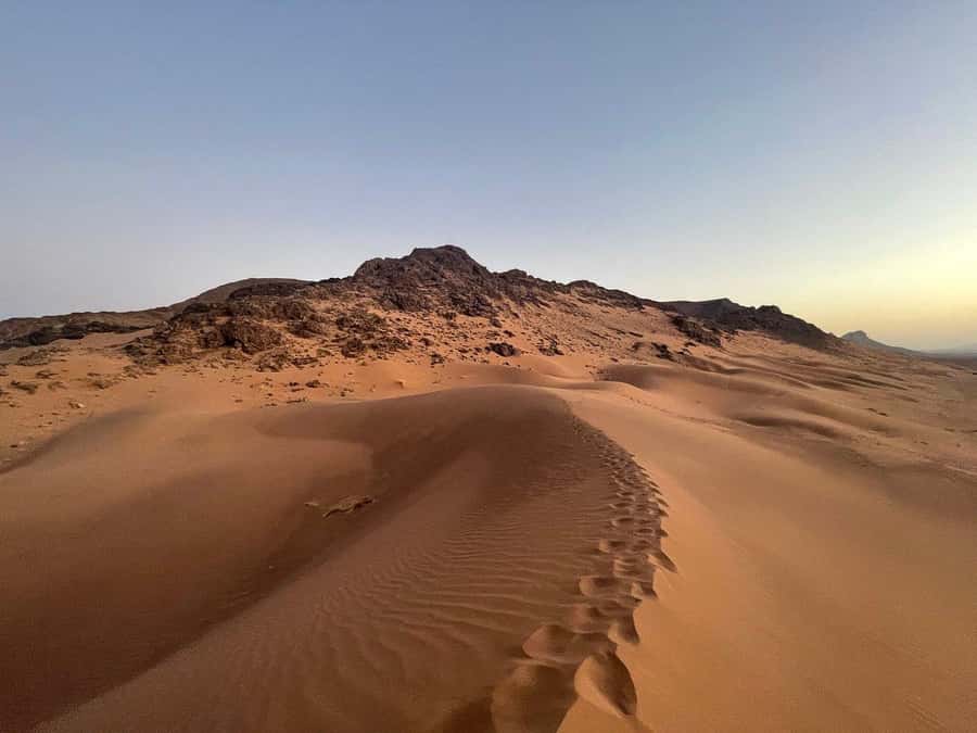 From Ouarzazate: 2-Day Excursion to Zagora Desert - Arriving at Zagora and climbing onto the camels
