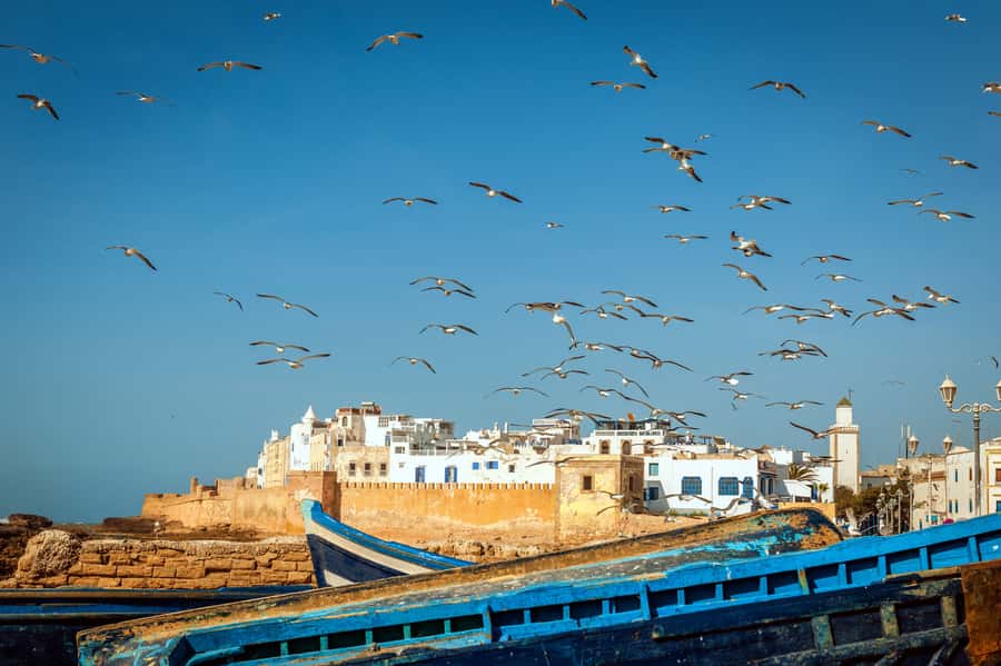 From Taghazout: Medina of Essaouira Guided Day Trip - Why Essaouira makes a good day trip from Taghazout