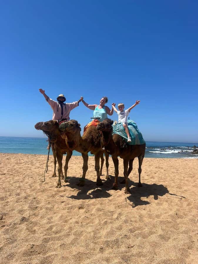 From Tangier: Asilah Tour with Tea Tasting & Camel Ride - A broad taste of Morocco in one day