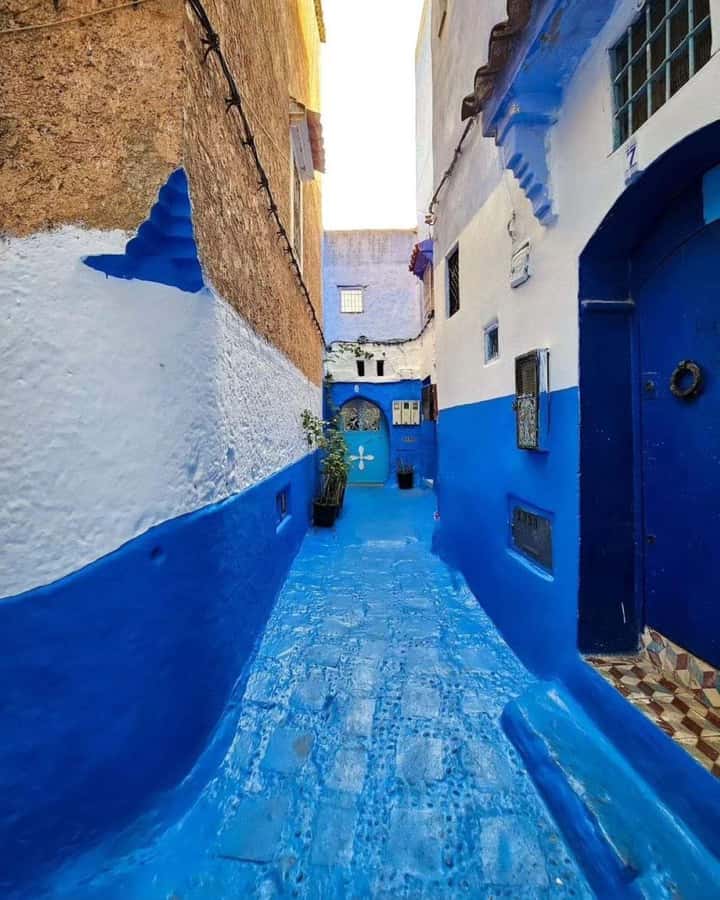 From Tangier: Asilah Tour with Tea Tasting & Camel Ride - Starting in Tangier with hotel pickup