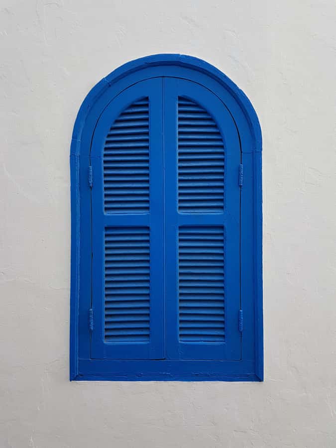 From Tangier: Asilah Tour with Tea Tasting & Camel Ride - What the guide can add to the experience