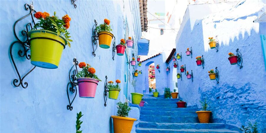 From Tangier: Chefchaouen Day Trip with Local Guide - Who should book this Chefchaouen tour