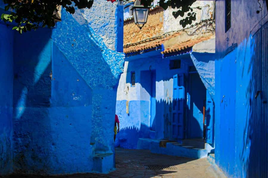 From Tangier: Chefchaouen Day Trip with Local Guide - How the guides shape the experience