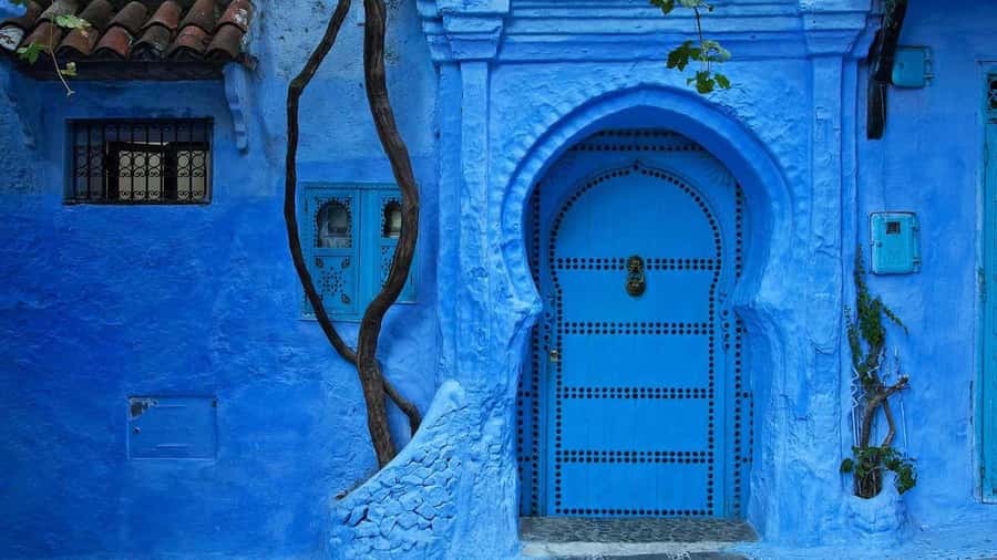 From Tangier: Day Trip to Chefchaouen and Akchour Waterfalls - Who should choose this day trip?