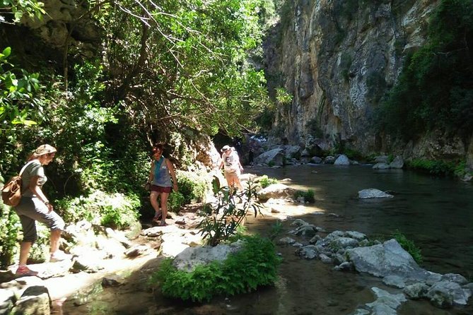 From Tangier: Day Trip to Chefchaouen and Akchour Waterfalls - Making the most of lunch and free time