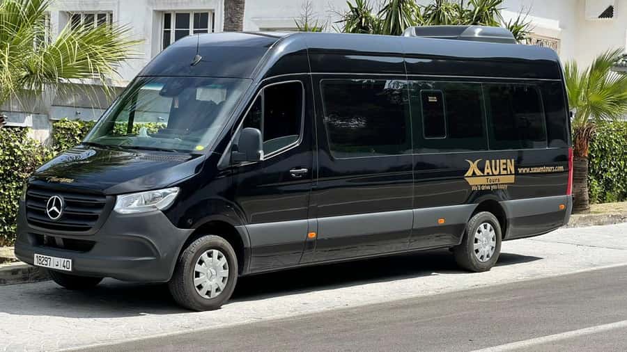From Tangier: Day Trip to Tetouan with Local Guide - Guide quality, languages, and the role of the driver