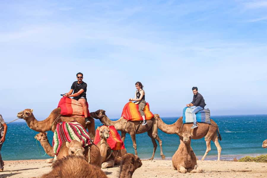 From Tangier: Full-Day Tangier, Asilah, & Cape Spartel Tour - Key points at a glance