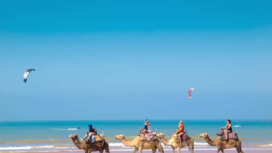 From Tangier: Full-Day Tangier, Asilah, & Cape Spartel Tour - Who will enjoy this day most