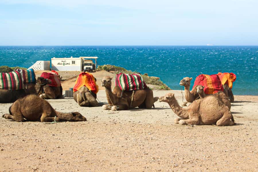 From Tangier: Full-Day Tangier, Asilah, & Cape Spartel Tour - Hercules Caves: myth, rock, and a modest stop