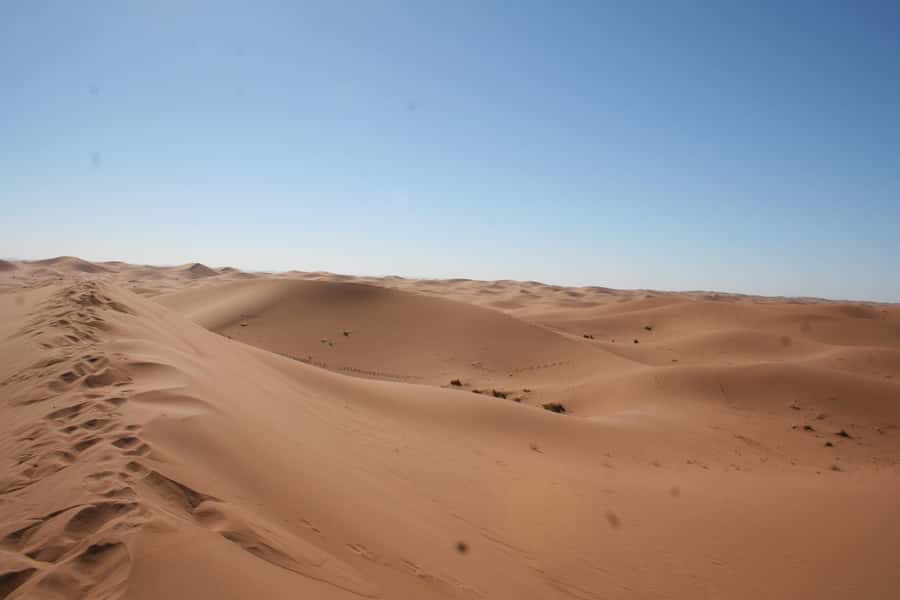 From Zagora: 2-Day Desert Tour to Erg Chegaga - Who should choose this Erg Chegaga trip?