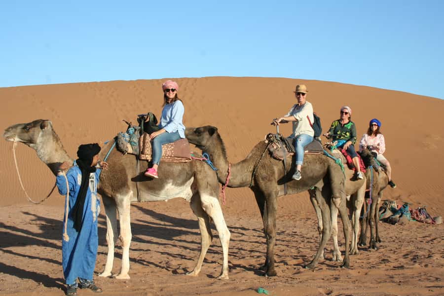 From Zagora: 2-Day Desert Tour to Erg Chegaga - Guide quality and private group advantages