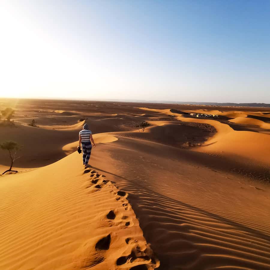 From Zagora: Overnight Desert Tour to Erg Chigaga Camel ride - Why Erg Chigaga feels different from a quick desert stop