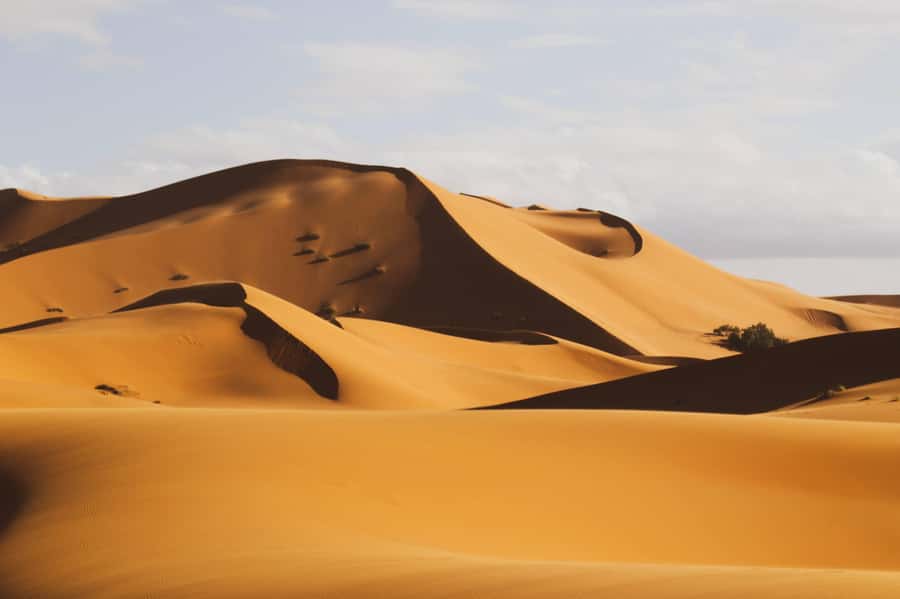 From Zagora: Overnight Desert Tour to Erg Chigaga Camel ride - The oasis and viewpoint breaks