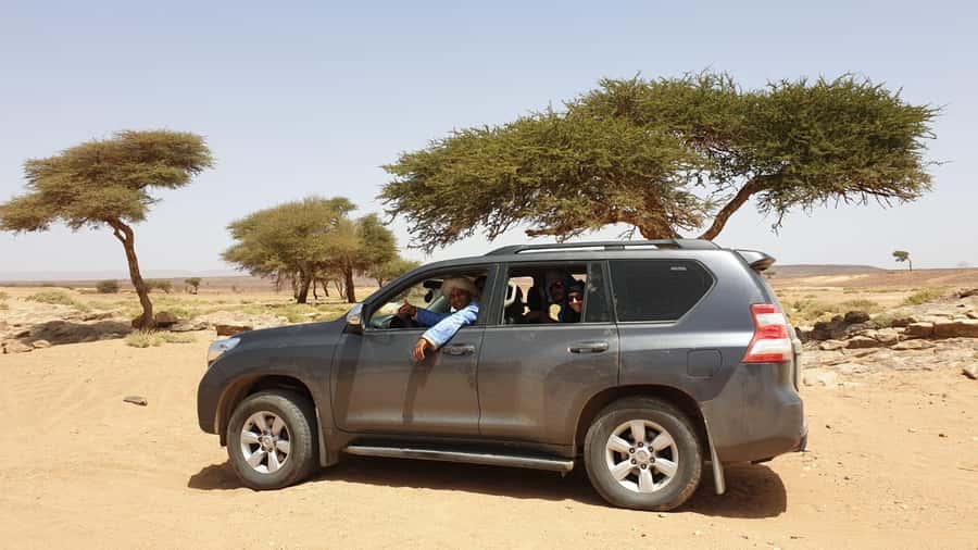 From Zagora: Overnight Desert Tour to Erg Chigaga Camel ride - Cold hours before sunrise