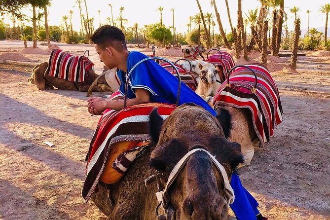 Full-day Agafay Desert and Atlas Mountain Tour - Imlil, mint tea, and your choice of walk