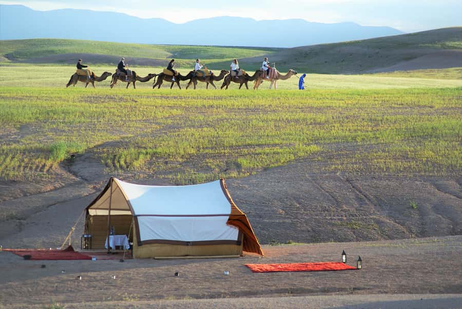 Full-Day Agafay Desert & Atlas Mountains Tour With Camels - From Marrakech to the Rocky Agafay Desert