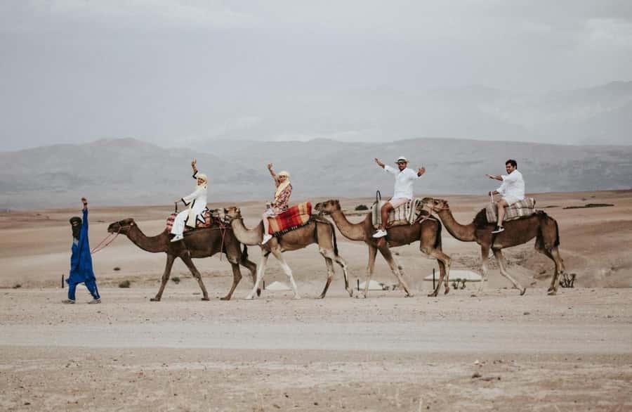 Full-Day Agafay Desert & Atlas Mountains Tour With Camels - My Take: Book It If You Want Variety