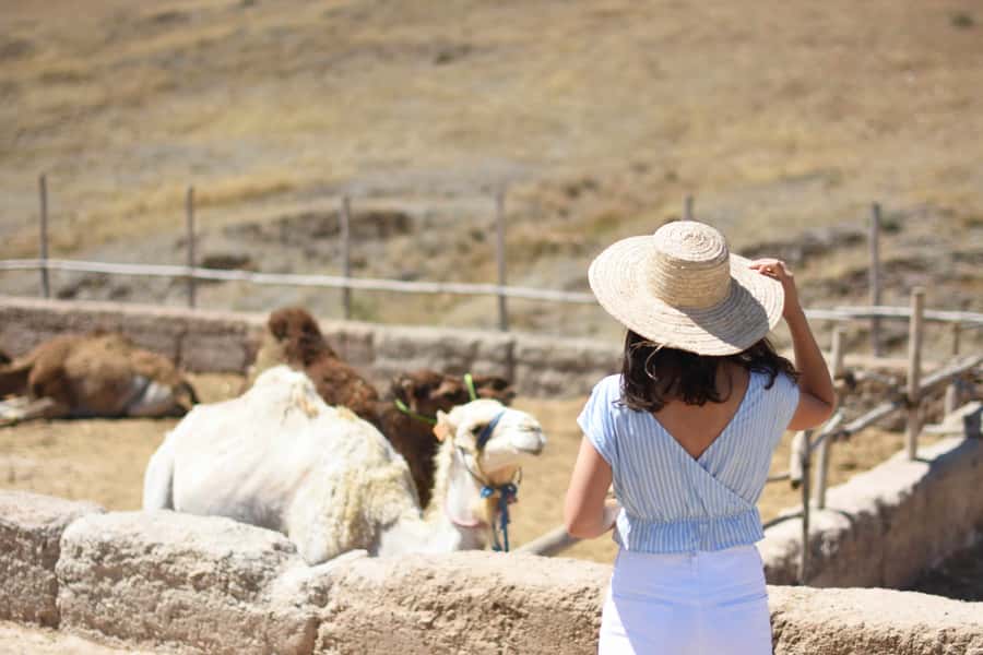 Full-Day Agafay Desert & Atlas Mountains Tour With Camels - A Short Camel Ride With a Long View