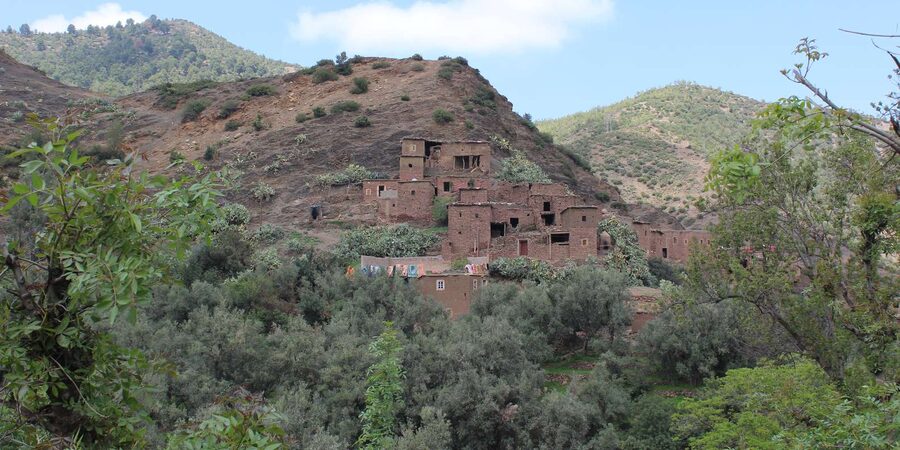 Full-Day Agafay Desert & Atlas Mountains Tour With Camels - The High Atlas Walk to the Waterfalls