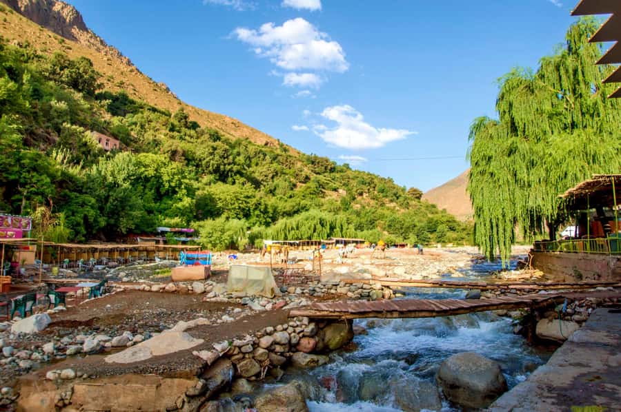 Full-Day Agafay Desert & Atlas Mountains Tour With Camels - Guide Quality and Group Size