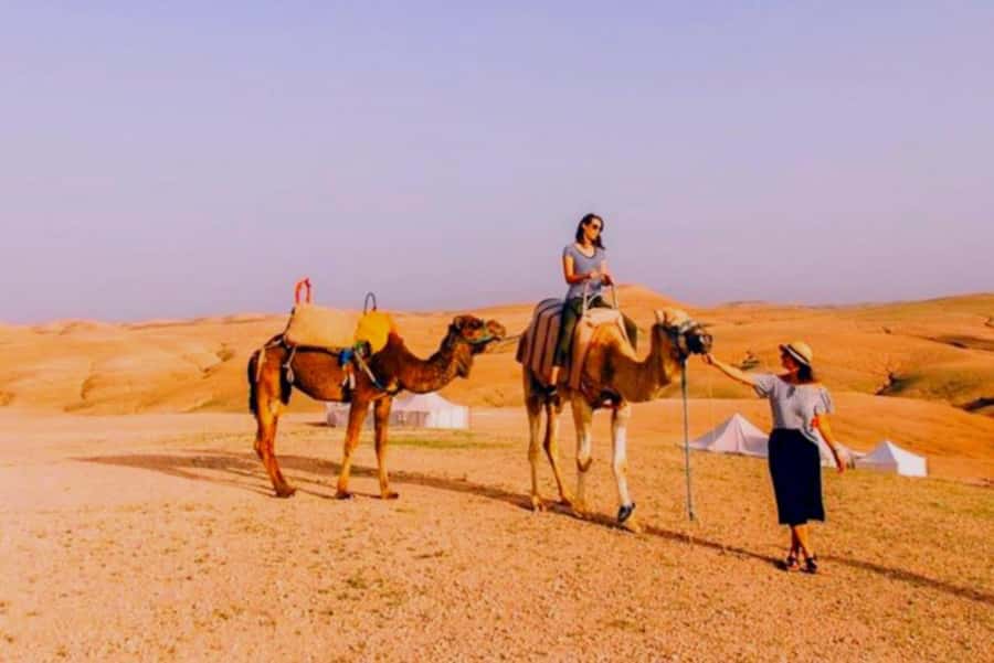 Full-Day Agafay Desert & Atlas Mountains Tour With Camels - Who Should Book This Day Out
