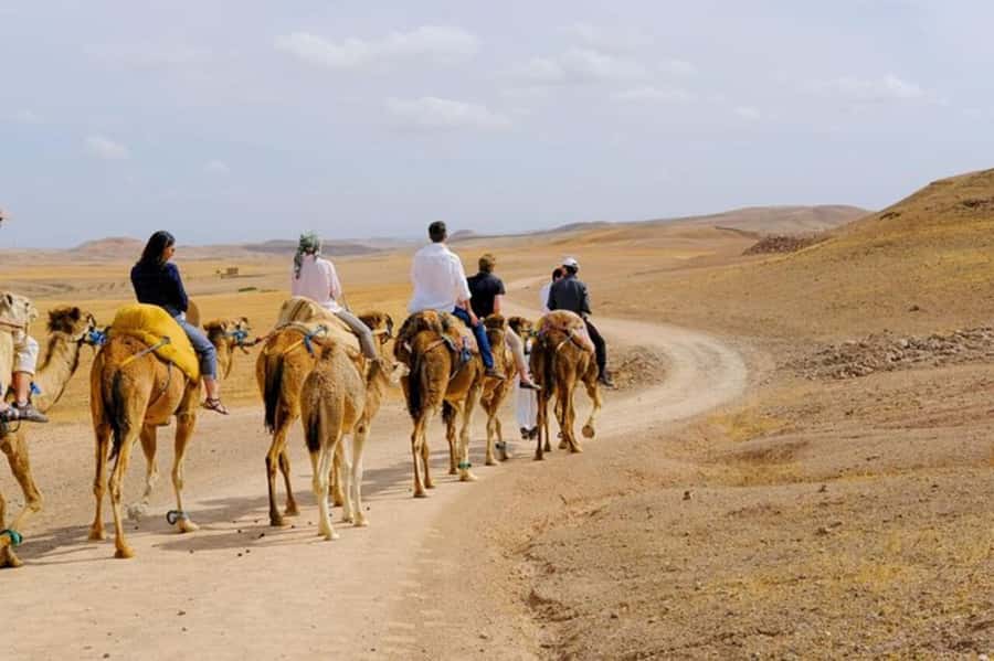 Full-Day Agafay Desert & Atlas Mountains Tour With Camels - Mint Tea and the Argan Oil Stop