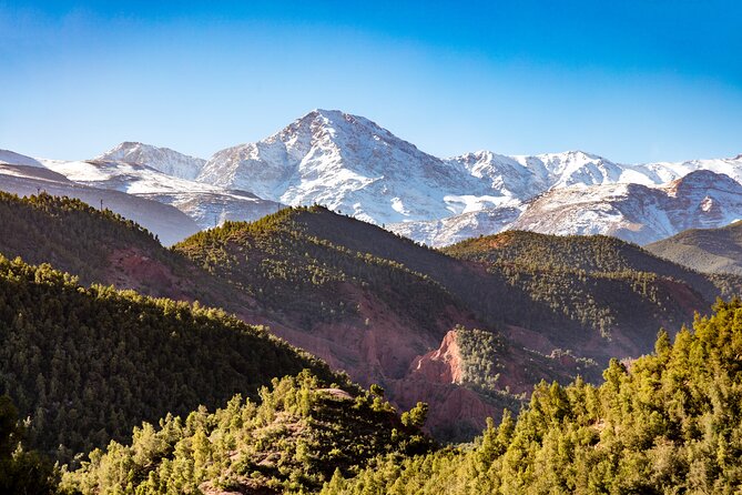 Full Day Berber Villages and Atlas Mountains 4x4 Adventure - How the group size affects the day