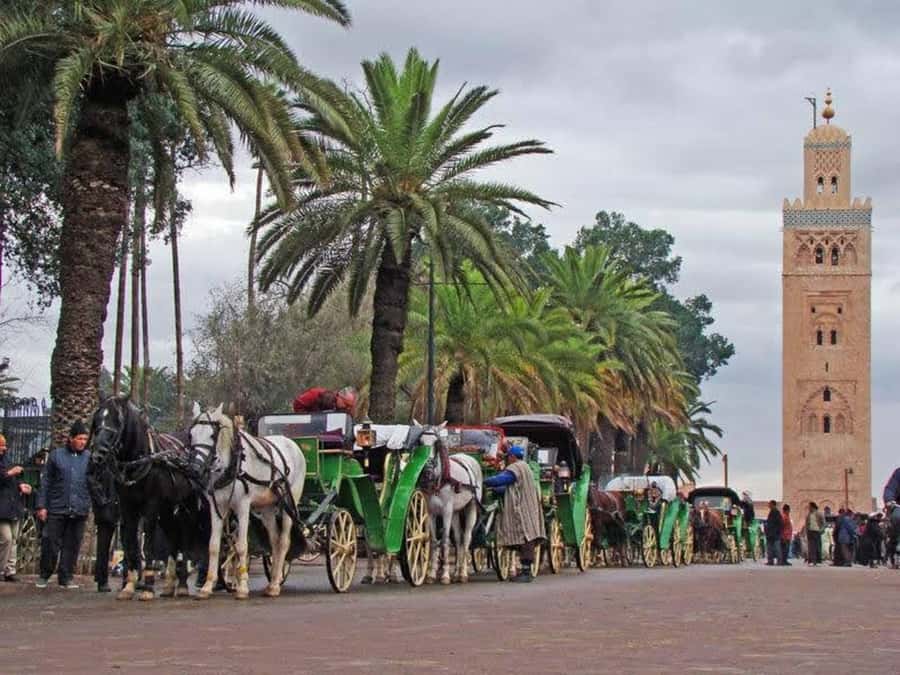 Full-Day Group Trip to Marrakech from Agadir - Walking through the souk