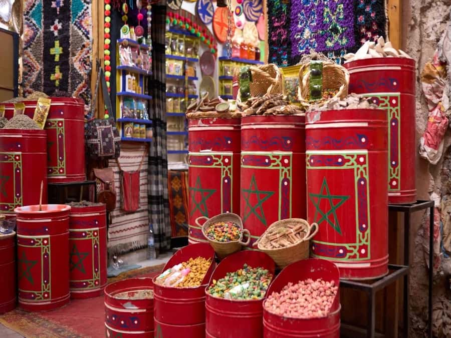 Full-Day Group Trip to Marrakech from Agadir - Jamaa el Fna and your free time